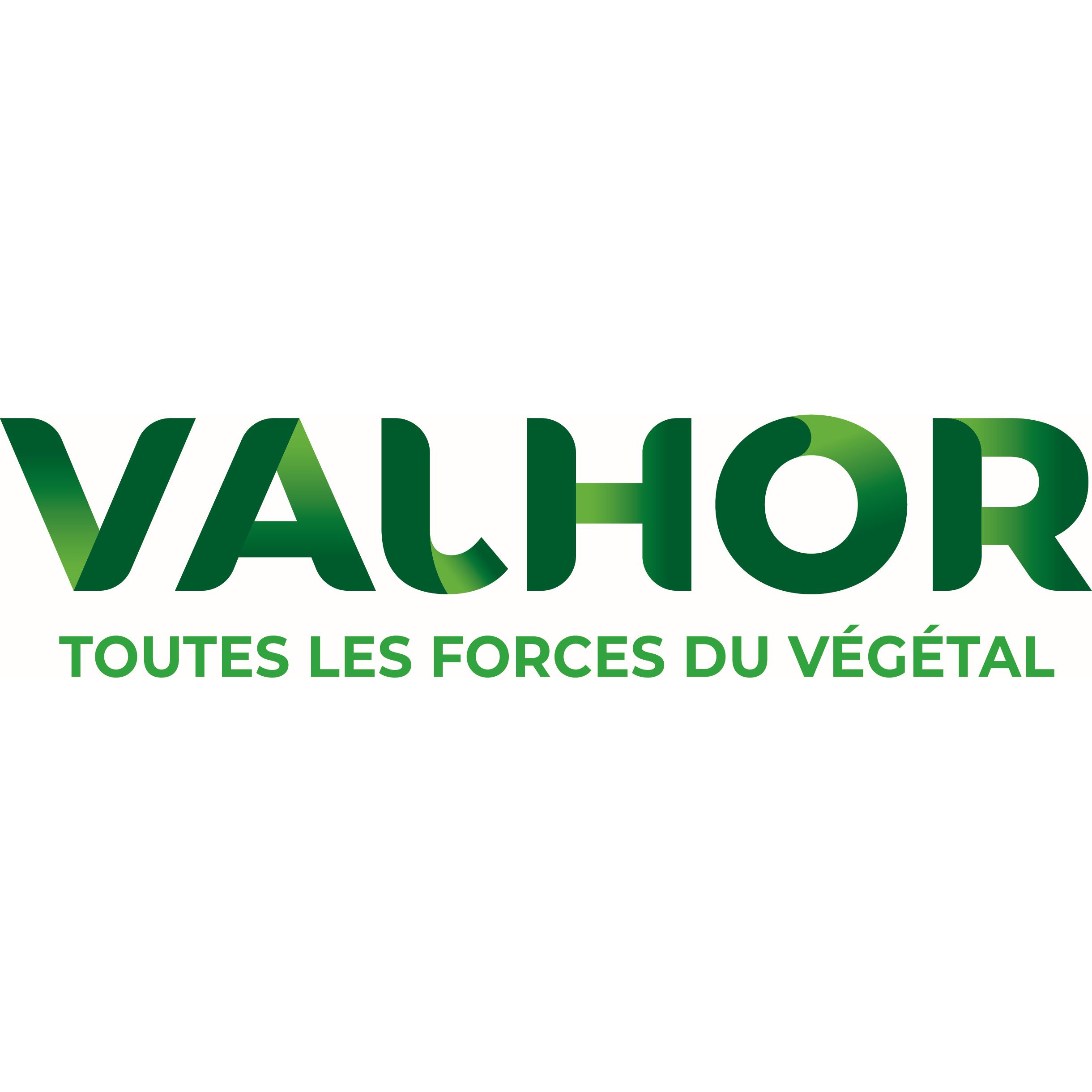 VALHOR : interprofession des métiers de l'horticulture, de la fleuristerie et du paysage